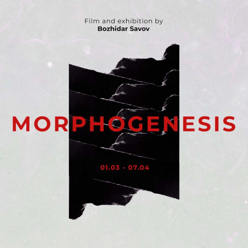 Morphogenesis