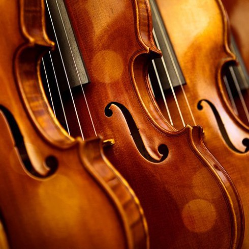 Заключителен концерт „Работа и интерпретация с инструмент цигулка“