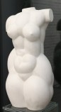 Female torso